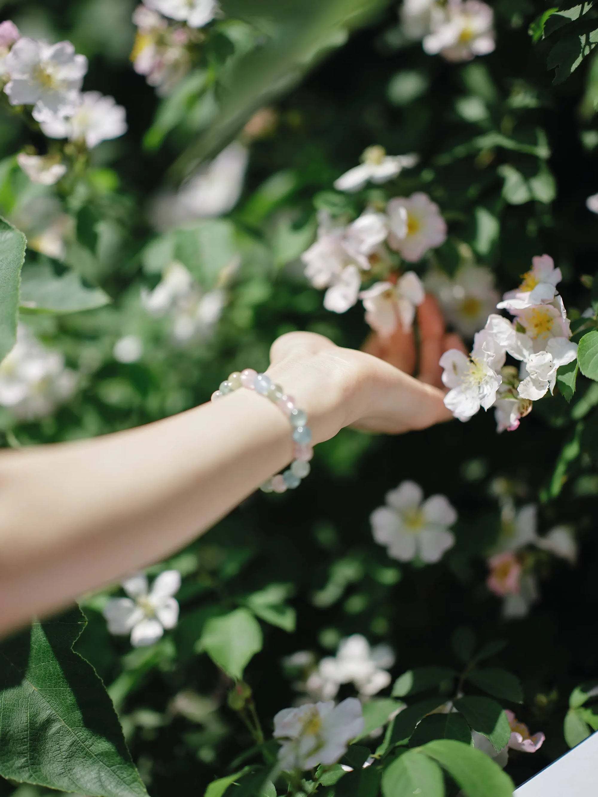 ARLINSTORY·Floral Breeze