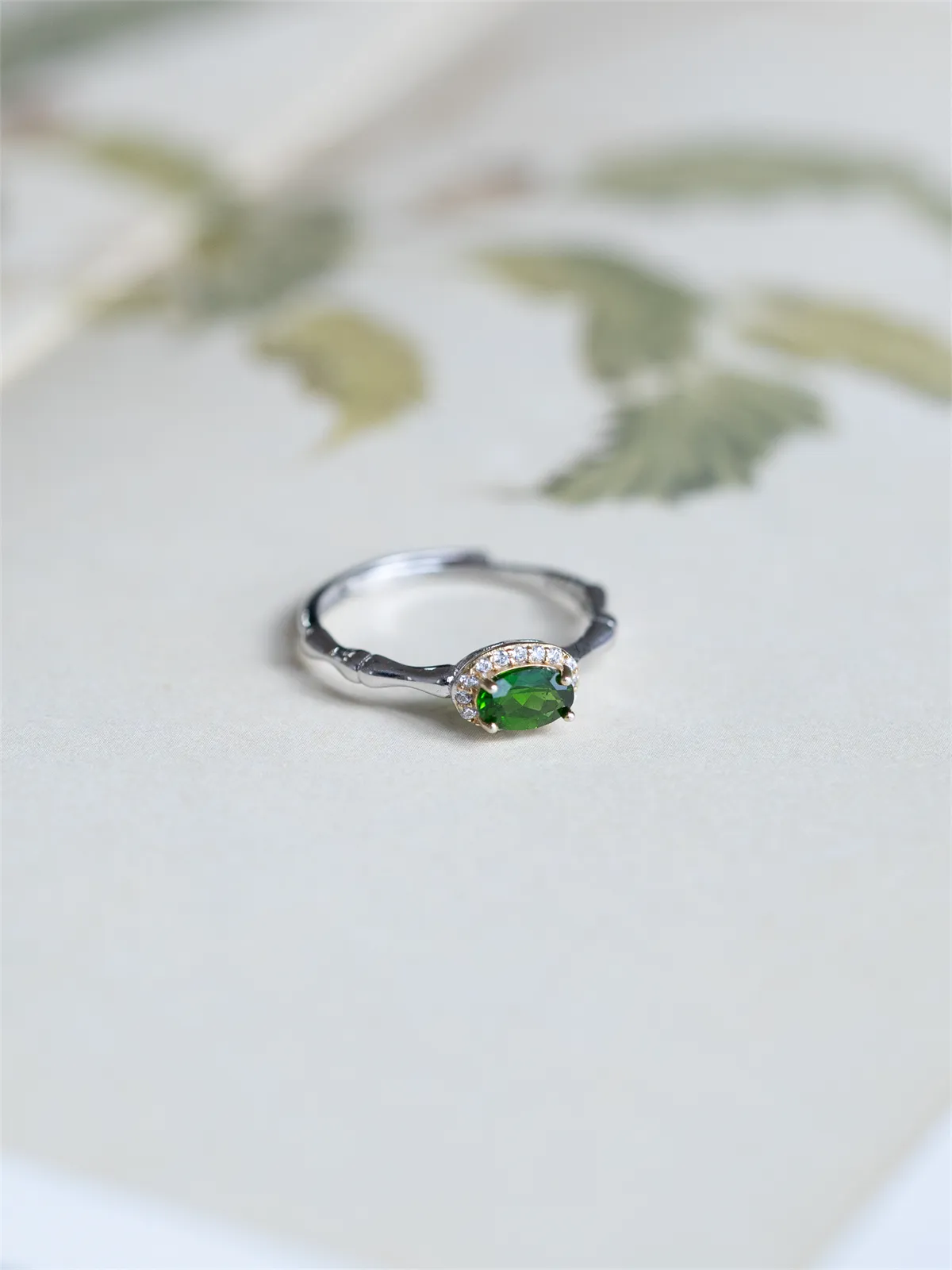 ARLINSTORY·Celure RING